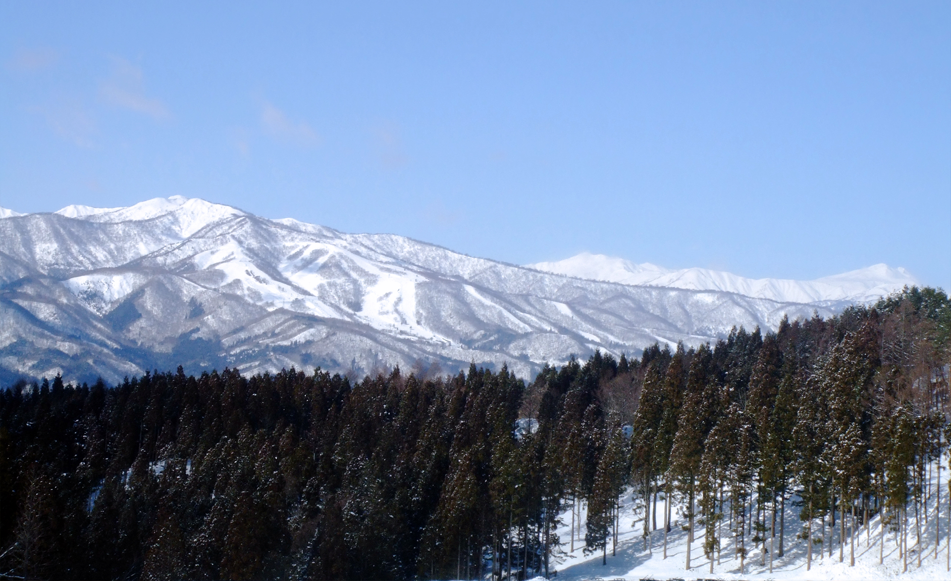 岐阜県土地家屋調査士会所属